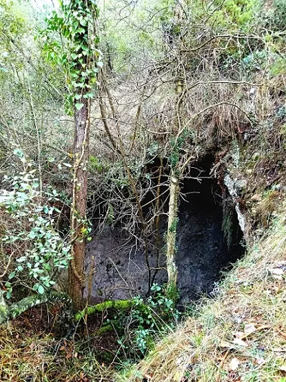 Fotografia de PEPET, BÒFIA D'EN (1 de 8)