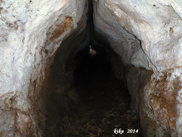 Photographie de GEGANT, COVA DEL (3 sur 9)