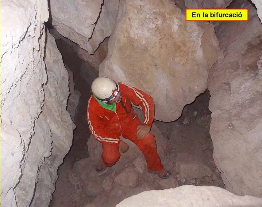 Fotografía de PASSANT DEL FAIG, COVES DEL (4 de 9)