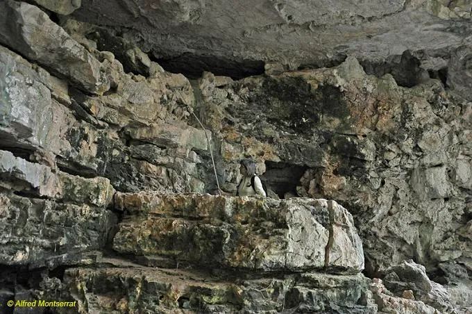 Fotografia de MAS VILAR, COVA DE (2 de 4)