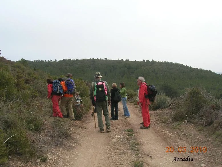 Fotografía de TRAÇA, COVA DEL (1 de 9)