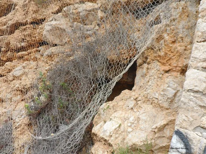 Fotografia de PUNTA GROSSA, COVA DE LA (2 de 7)