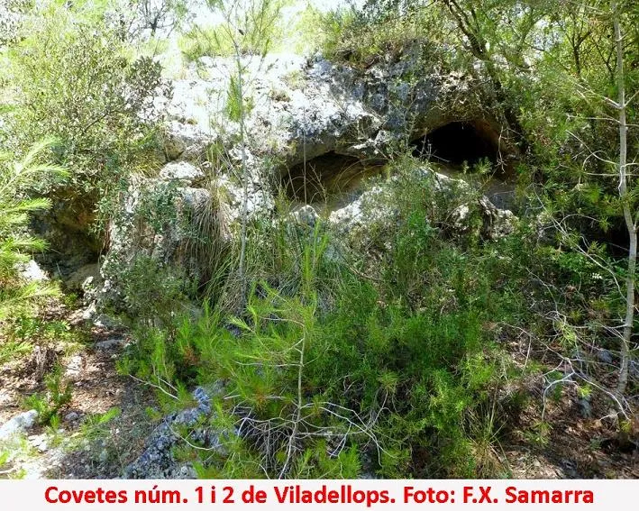 Fotografia de VILADELLOPS, COVETES DE (1 de 4)