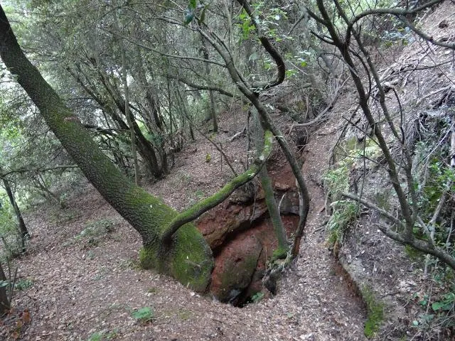 Fotografía de MUNTADA, AVENC PETIT DE LA (2 de 5)