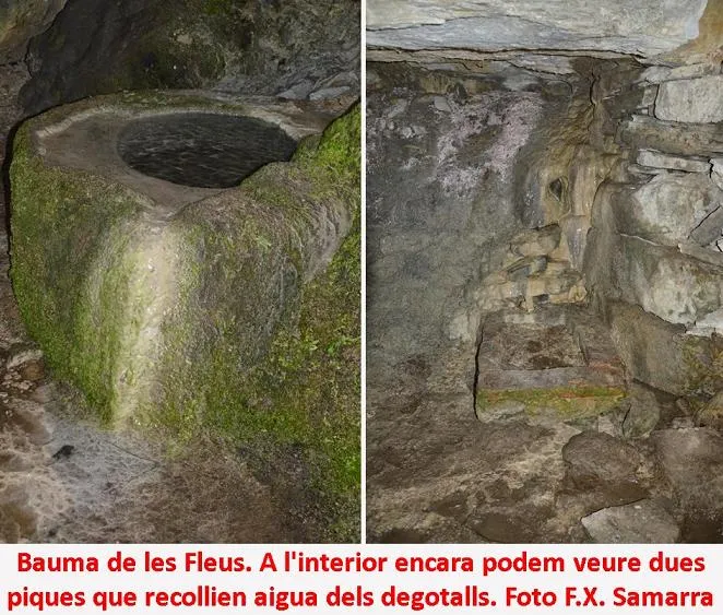 Fotografia de FLEUS, BALMA DE LES (4 de 4)
