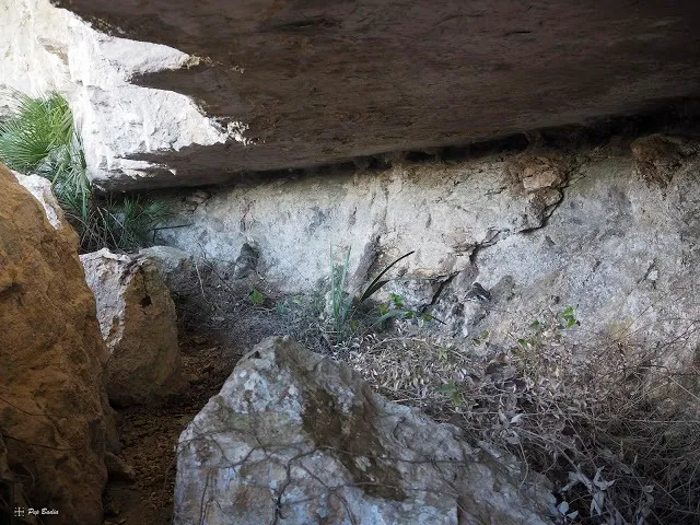 Fotografia de CARRASQUES, COVA DE LES (2 de 2)