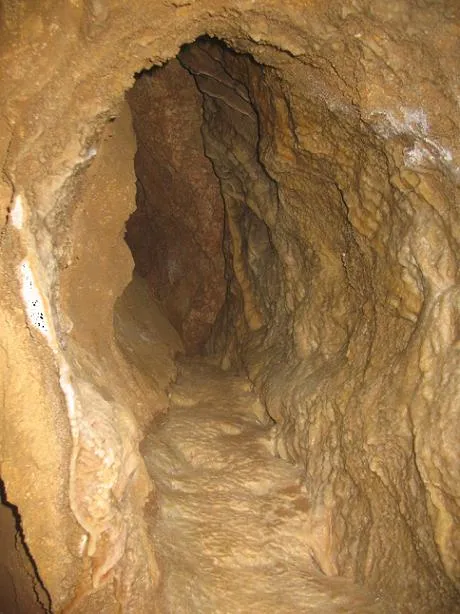 Photographie de POLLANCRE, COVA DEL (4 sur 4)