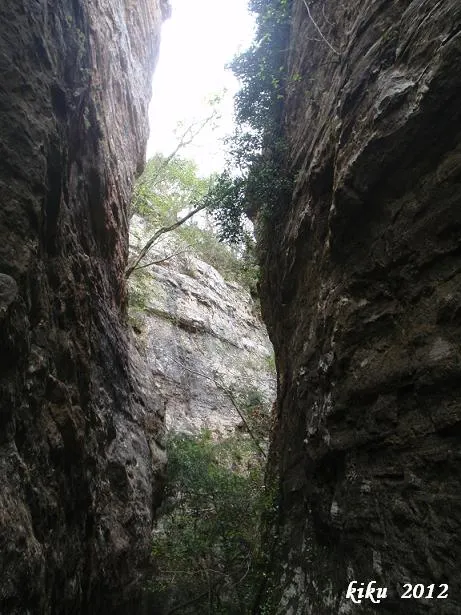 Fotografia de MOTLLATS DE LA PONA, AVENCOTS DELS (2 de 6)