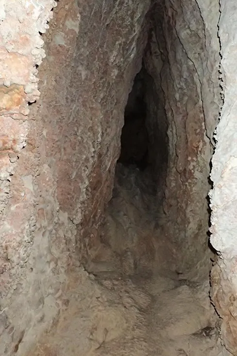 Fotografia de PARET Nº 1, COVA DE LA (2 de 4)
