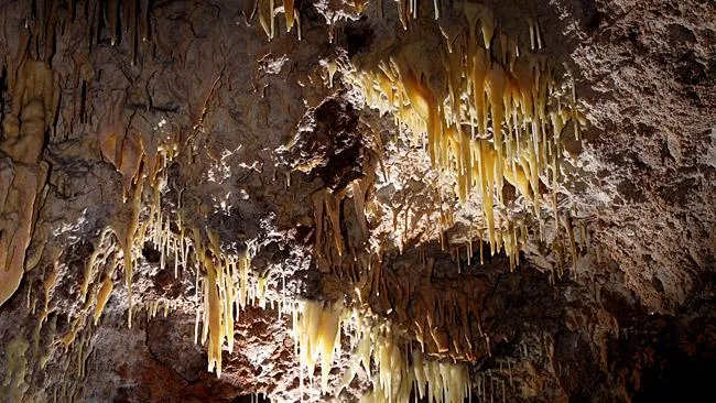 Fotografia de BARBUIXELL, AVENC (4 de 4)