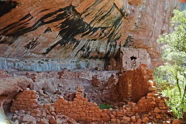 Photographie de DONYA BLANCA, COVA DE (2 sur 3)