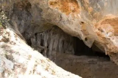 Photograph of AUMIDIELLA GRAN, COVA DE L' (1 of 1)