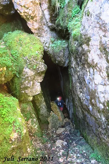 Fotografia de RASETS, BÒFIA DE (8 de 8)