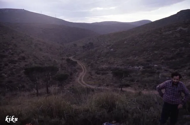 Fotografia de MAS TRAVAL, AVENC DE (1 de 6)