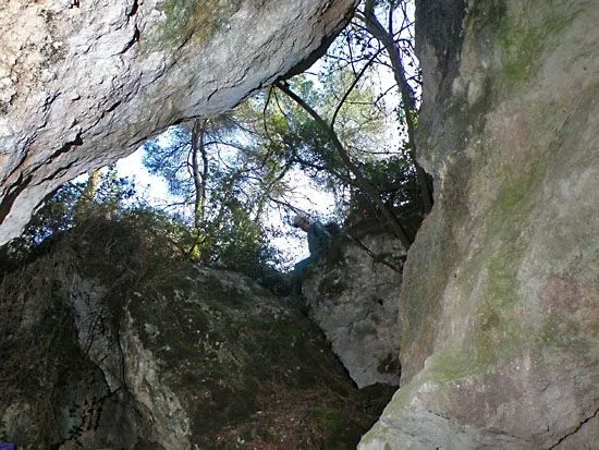 Photograph of MAMUT, COVES DEL (8 of 8)