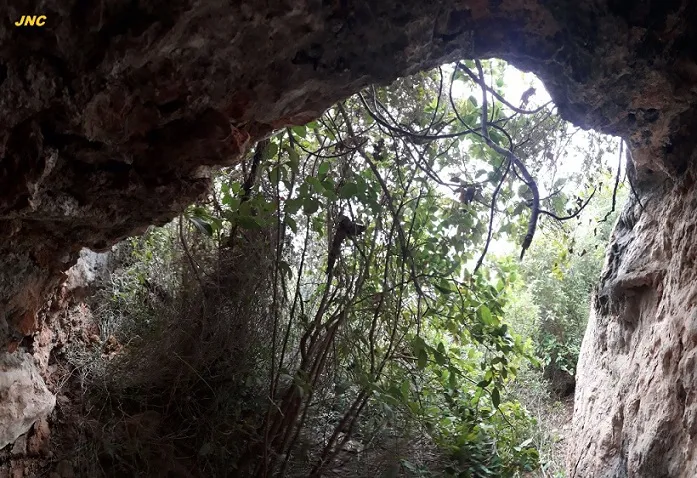 Fotografia de XACÓ, COVA FÒSSIL Nº1 DEL (3 de 3)