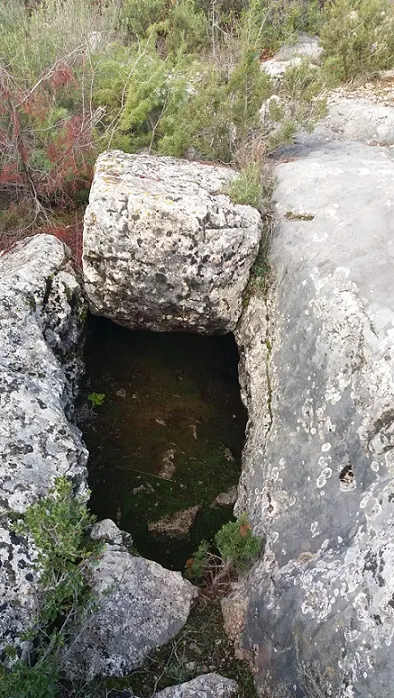 Fotografía de OS, FORAT D' (1 de 3)