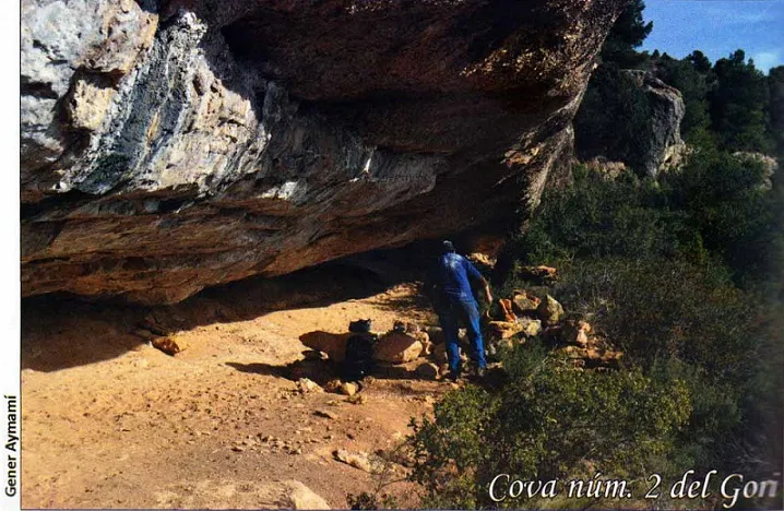Fotografia de GORI, COVA Nº2 DEL (1 de 3)