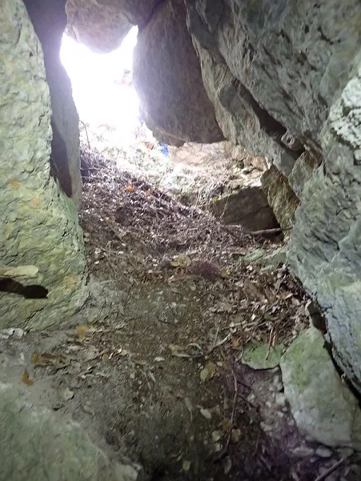 Fotografia de TOSSAL DE CANTACORBS, COVA (2 de 5)
