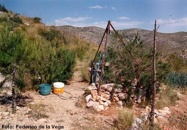 Photograph of CAN JAQUES, POU DE (1 of 1)