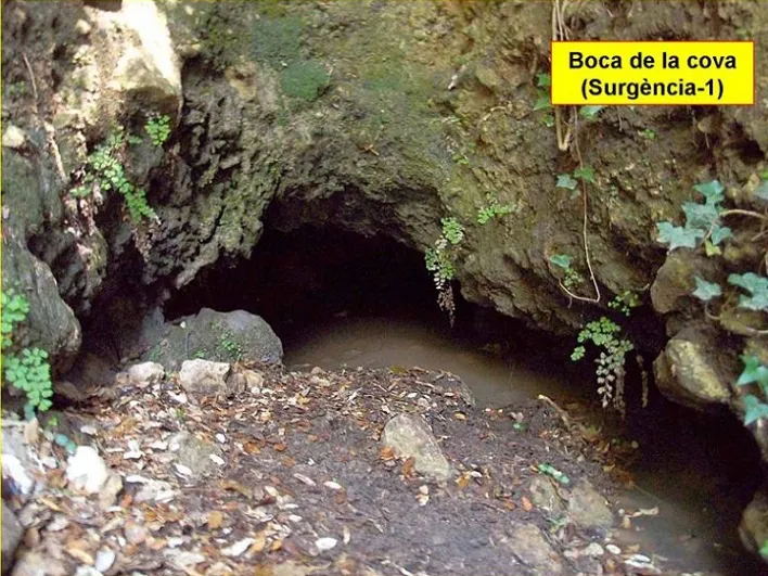 Photographie de FONT CALENTA, COVA DE LA (2 sur 6)