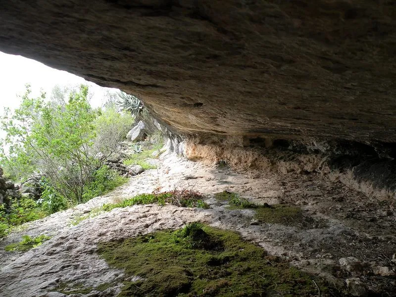 Fotografia de PANÍS, COVA D'EN (3 de 4)