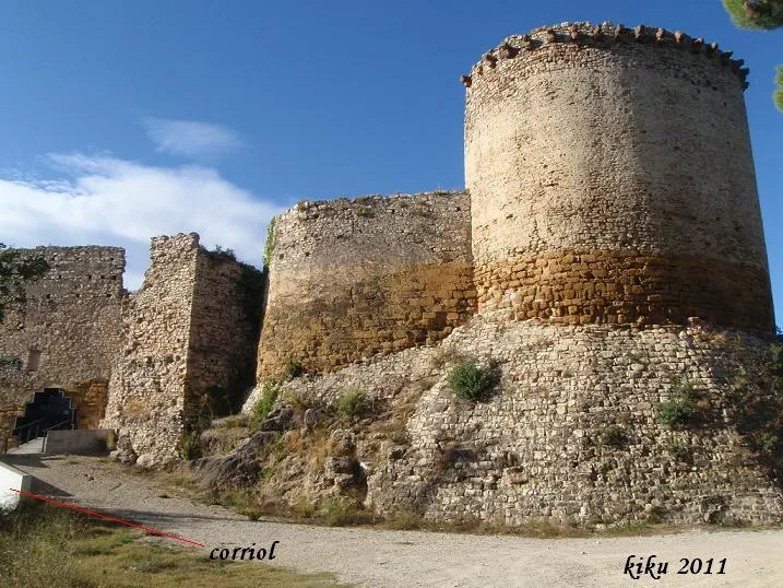 Fotografia de CASTELL, COVA A DEL (1 de 3)