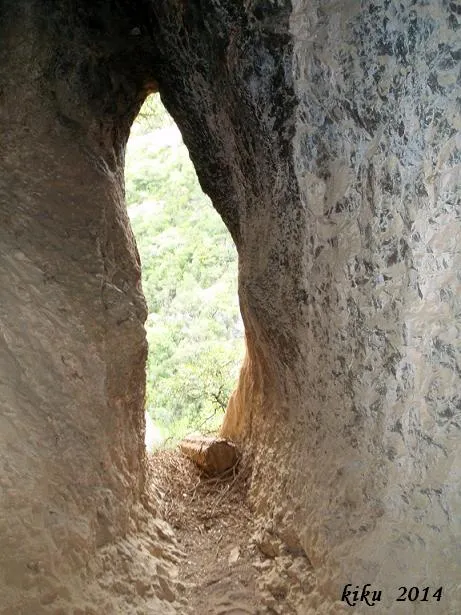 Fotografia de FONT FREDA, COVA Nº1 DE LA (7 de 8)