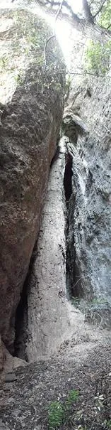 Fotografia de GEPEG, COVA (1 de 2)