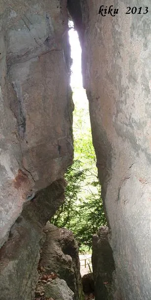 Photographie de GRANOTA, COVA DE LA (5 sur 5)