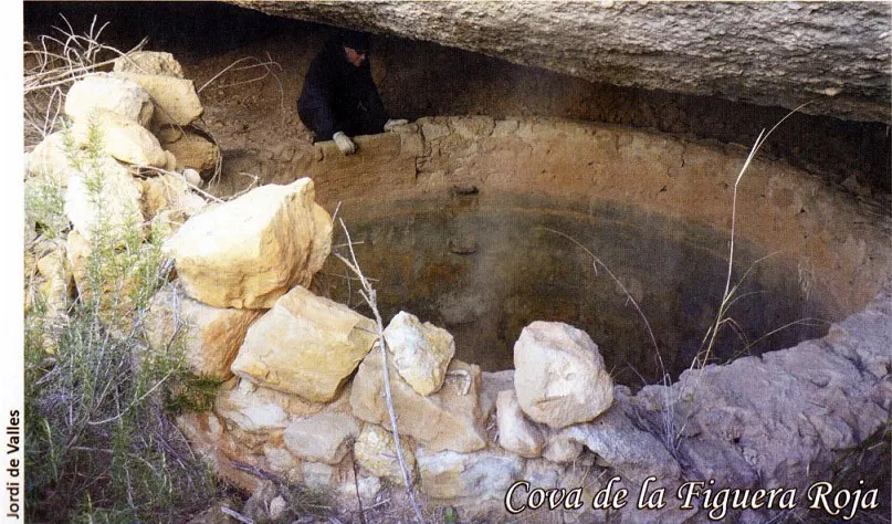 Fotografía de FIGUERA ROJA, COVA DE LA (1 de 1)