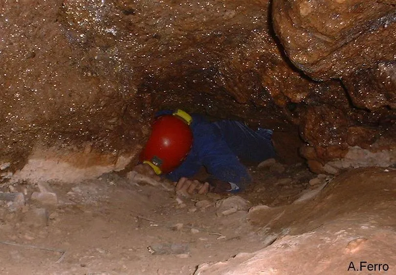 Fotografía de TOIXONS, COVA DELS (3 de 8)