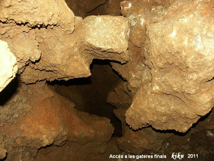 Photograph of PLETA, AVENC DE LA (14 of 14)