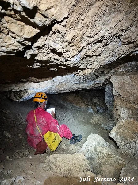 Fotografia de MATA, COVA D'EN (4 de 13)