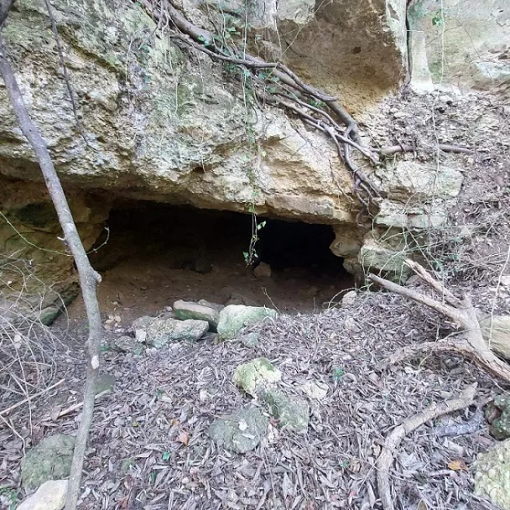 Fotografia de ULLALS DE LA CARROVA, COVA DELS (3 de 6)