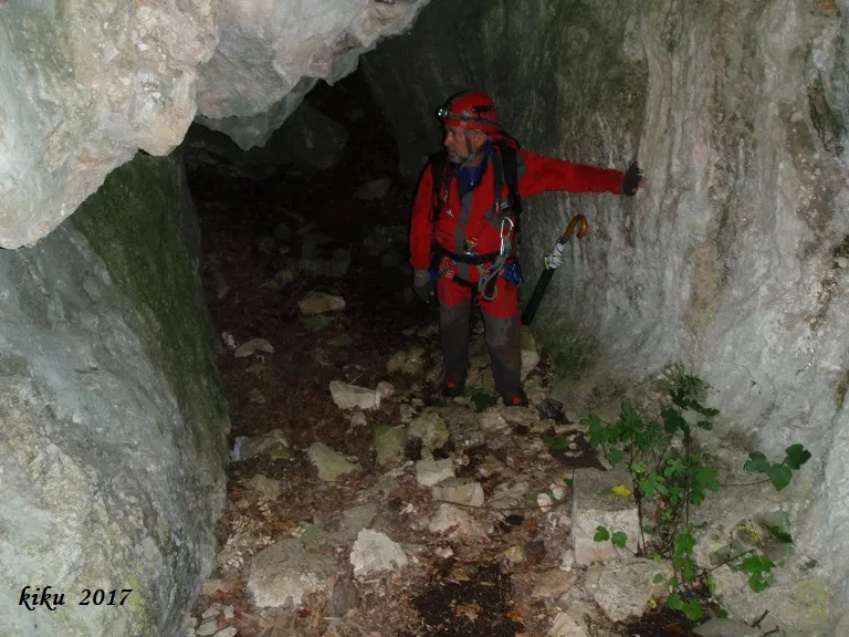 Fotografia de SIROLL, COVA DEL (1 de 4)