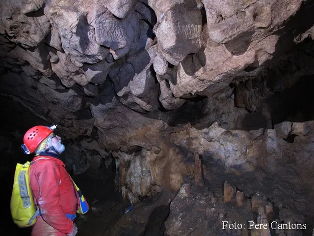 Photograph of ANES, COVA D' (5 of 8)