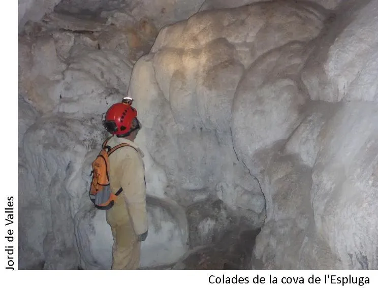 Fotografía de ESPLUGA, COVA DE L' (4 de 5)