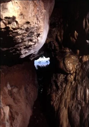 Fotografia de CASTELLASSA DEL DALMAU, COVA DE (2 de 2)