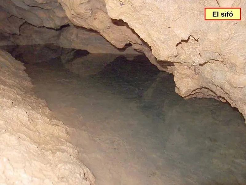 Photographie de GORGS DEL BORRÓ, COVA DELS (9 sur 9)