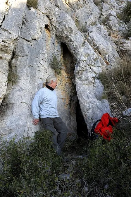 Fotografia de OLIVAR D'EN MARGALL, CAU DE L' (1 de 1)