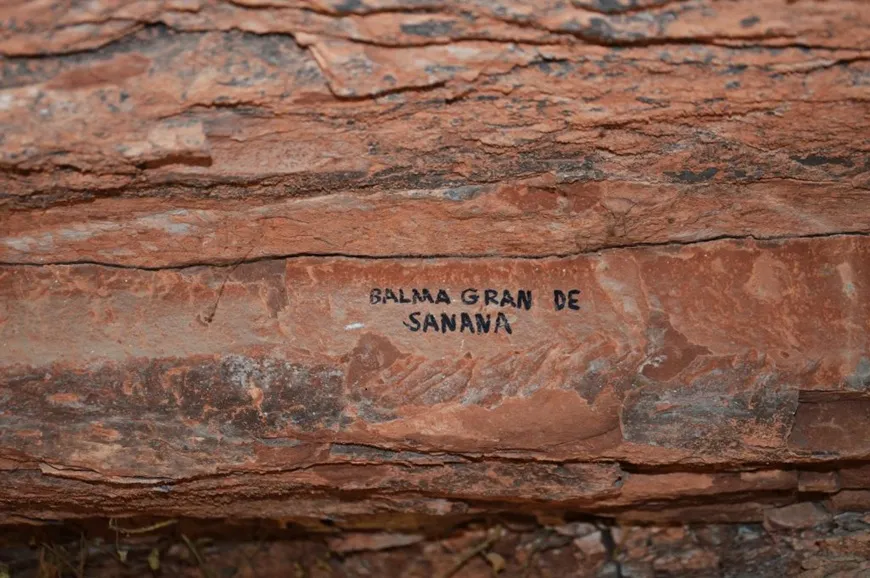 Photograph of SANANA, BALMA GRAN DE (3 of 5)