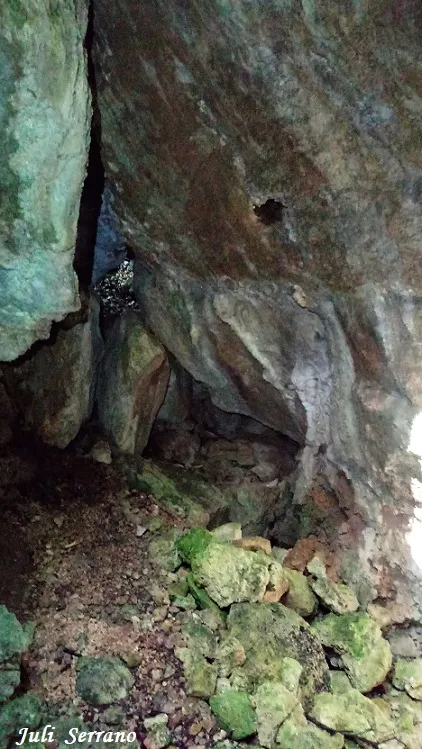 Fotografia de SALA, AVENC DE LA (2 de 2)