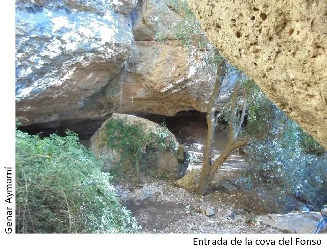 Photographie de FONSO, COVA DEL (2 sur 6)