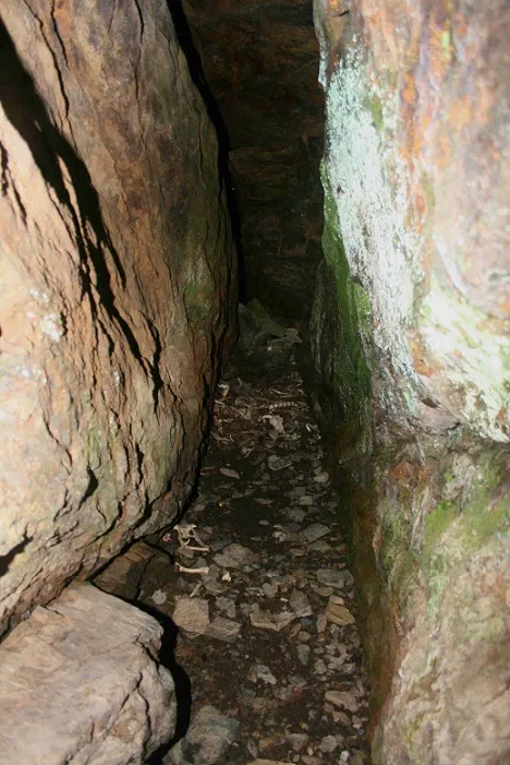 Photographie de SERRA PLANA, COVA (4 sur 6)
