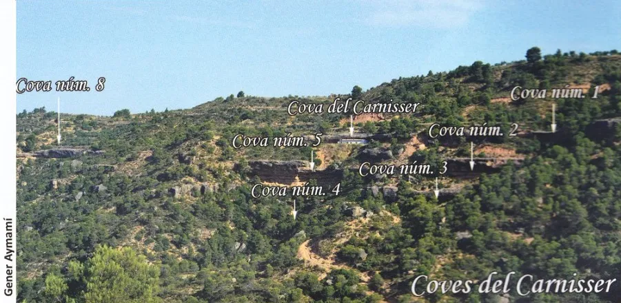 Fotografia de CARNISSER, COVES DEL  (1 de 9)