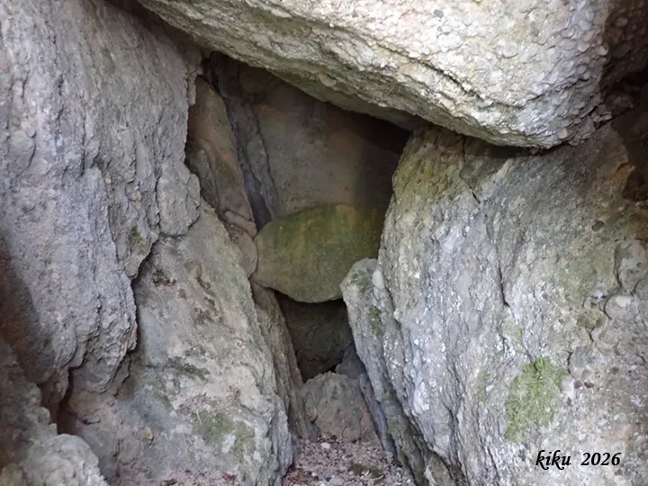 Fotografia de ROC DE LA CLUSA, FORAT SUPERIOR DEL (4 de 10)
