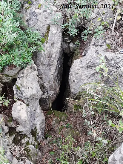 Fotografia de SERRA DEL MAS, COVA SM-18 DE LA (1 de 6)