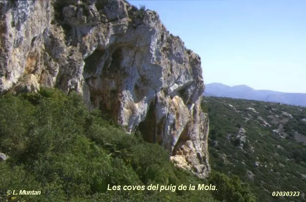 Fotografia de PUIG DE LA MOLA, BALMES DEL (1 de 1)