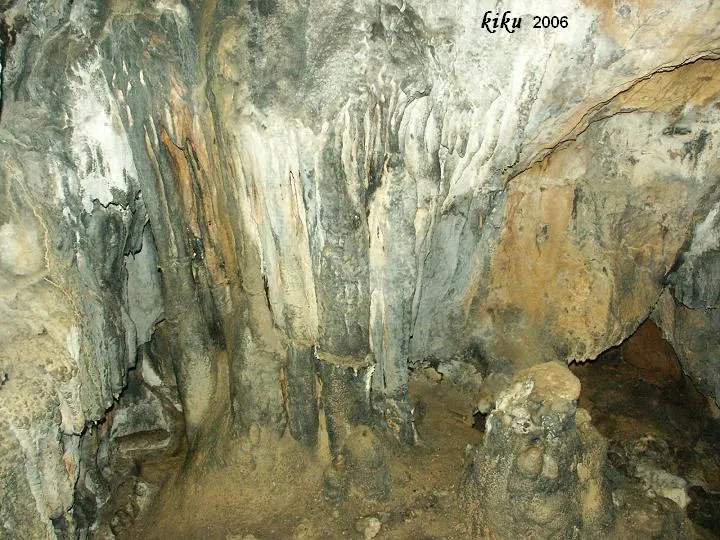 Photographie de NEGRE DE BÓIXOLS, FORAT (6 sur 6)